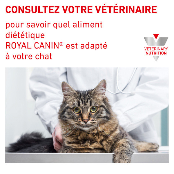 Royal Canin Vdiet Cat Urinary S/O Moderate Calorie
