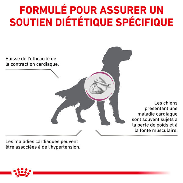 Royal Canin Vdiet Dog Cardiac
