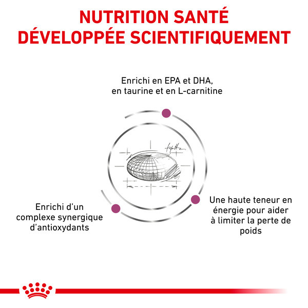 Royal Canin Vdiet Dog Cardiac