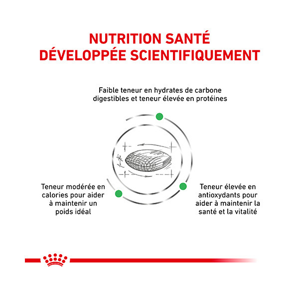 Royal Canin Vdiet Dog Diabetic