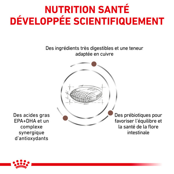 Royal Canin Vdiet Dog Hepatic