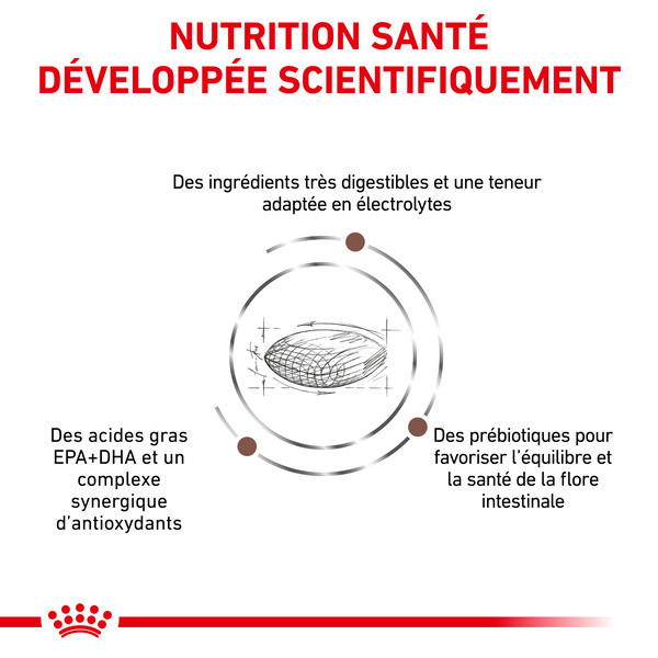 Royal Canin Vdiet Dog Gastro Intestinal Low Fat