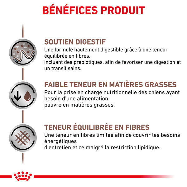 Royal Canin Vdiet Dog Gastro Intestinal Low Fat