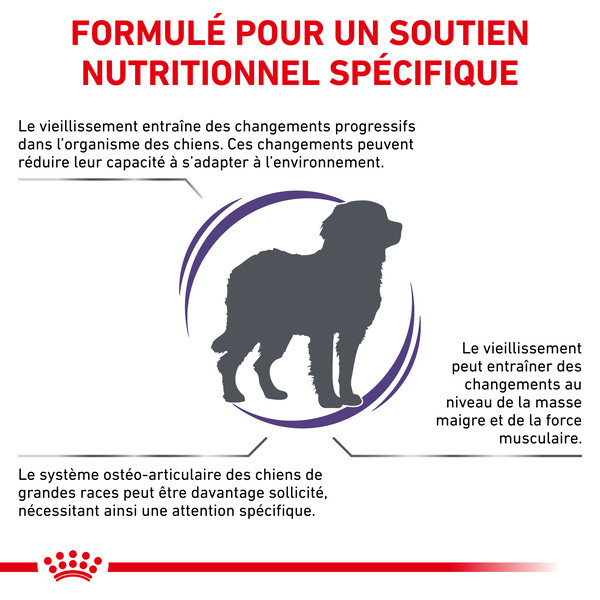 Royal Canin Vet Care Nutrition Dog Mature Grande Race - 14 Kg