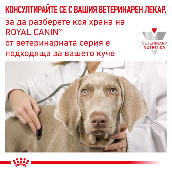 Royal Canin Vdiet Dog Mobility Support 
