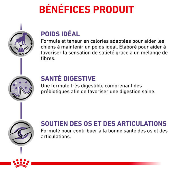 Royal Canin Vet Care Nutrition Dog Neutered Adult Grande Race