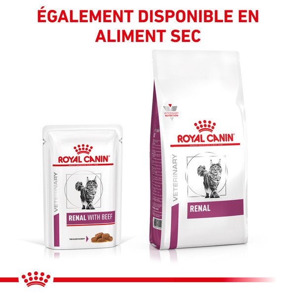 Royal Canin Vdiet Cat Renal au Boeuf - 12 x 85 g