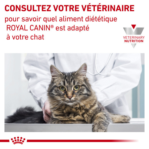 Royal Canin Vet Care Nutrition Cat Skin Coat - 12 x 85 g