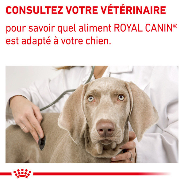 Royal Canin Dog Mature Consult 12 x 85 g