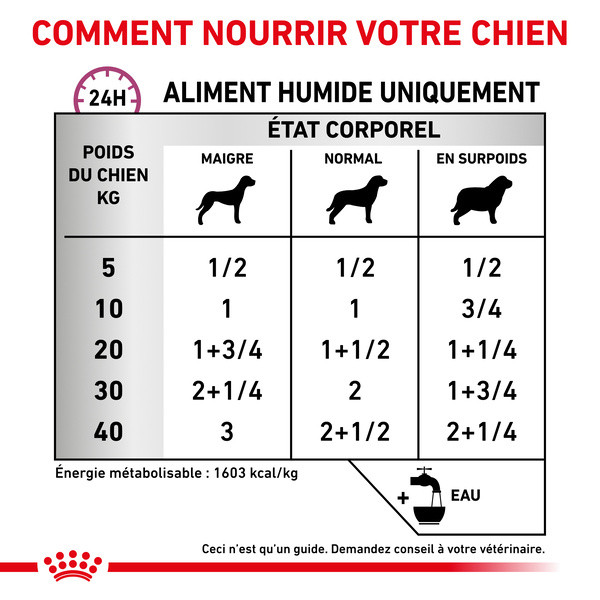 Royal Canin Vdiet Dog Renal Special - 12 x 410 g