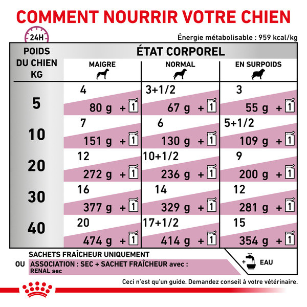 Royal Canin Vdiet Dog Renal - 12 x 100 g