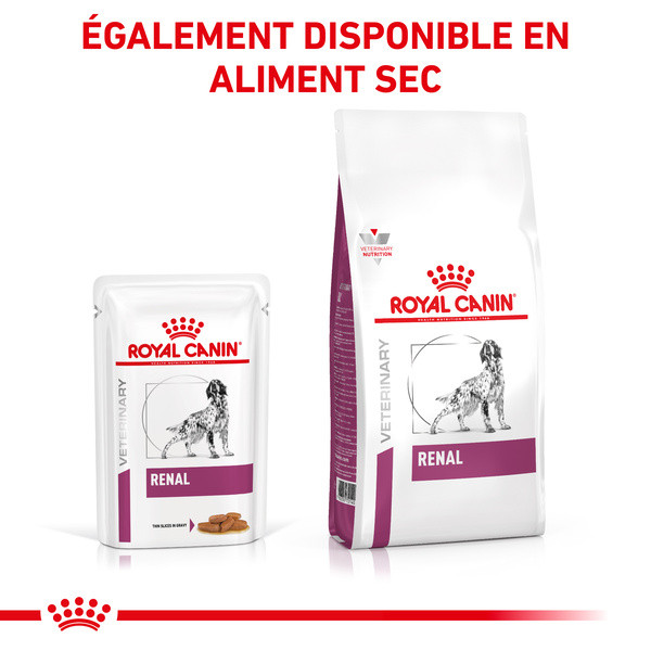 Royal Canin Vdiet Dog Renal - 12 x 100 g