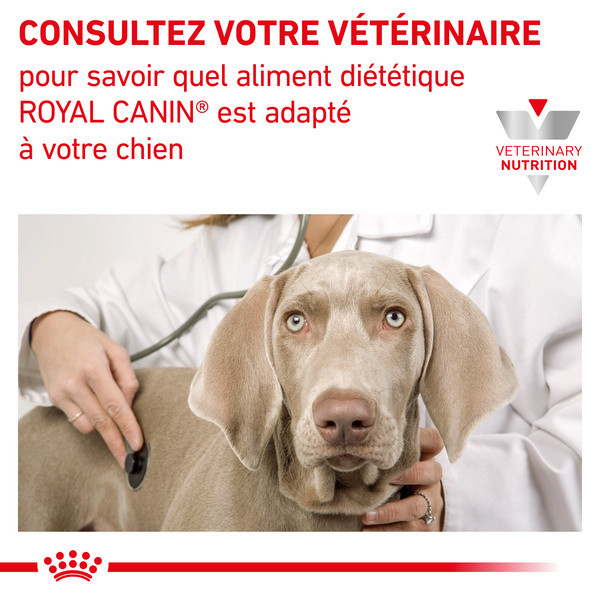 Royal Canin Vdiet Dog Renal - 12 x 100 g