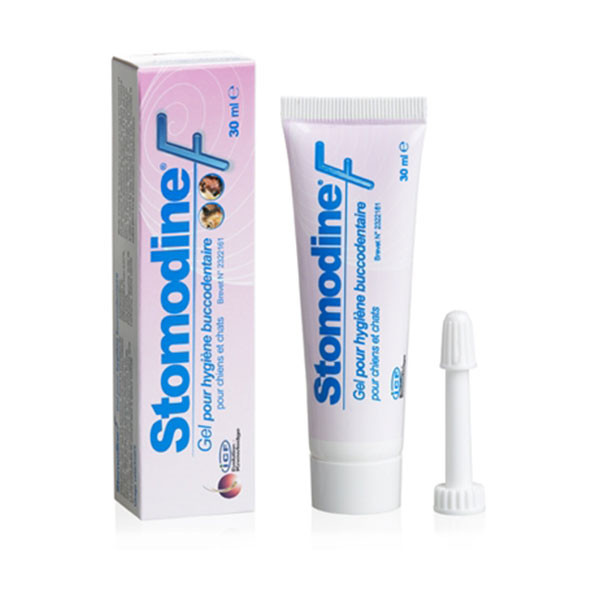 Stomodine F Gel Buccodentaire - 30 ml