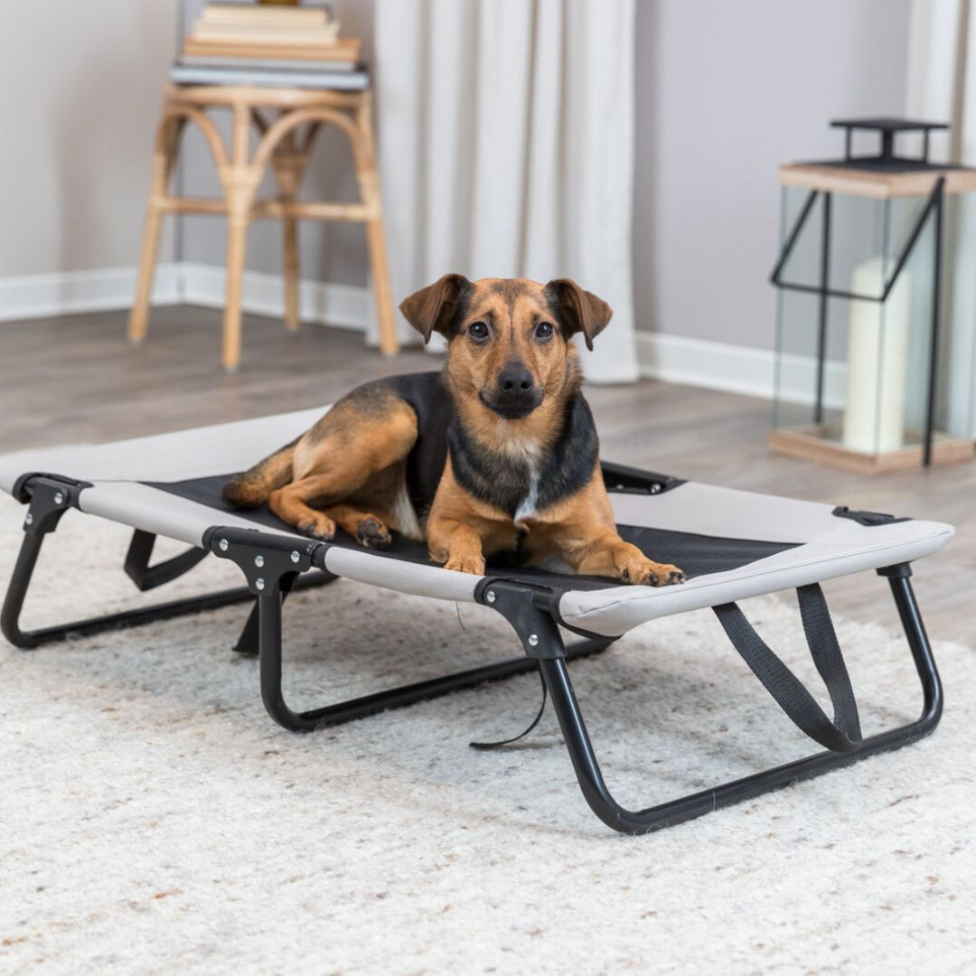 Trixie Chaise longue pour chien