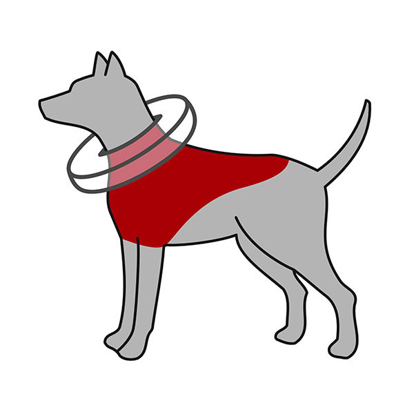 Trixie Collerette de Protection Gonflable - S