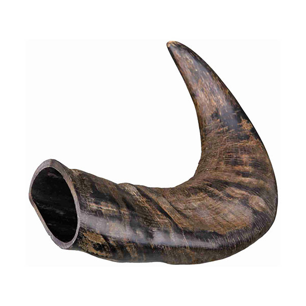 Trixie Corne de Buffle à Mâcher - M