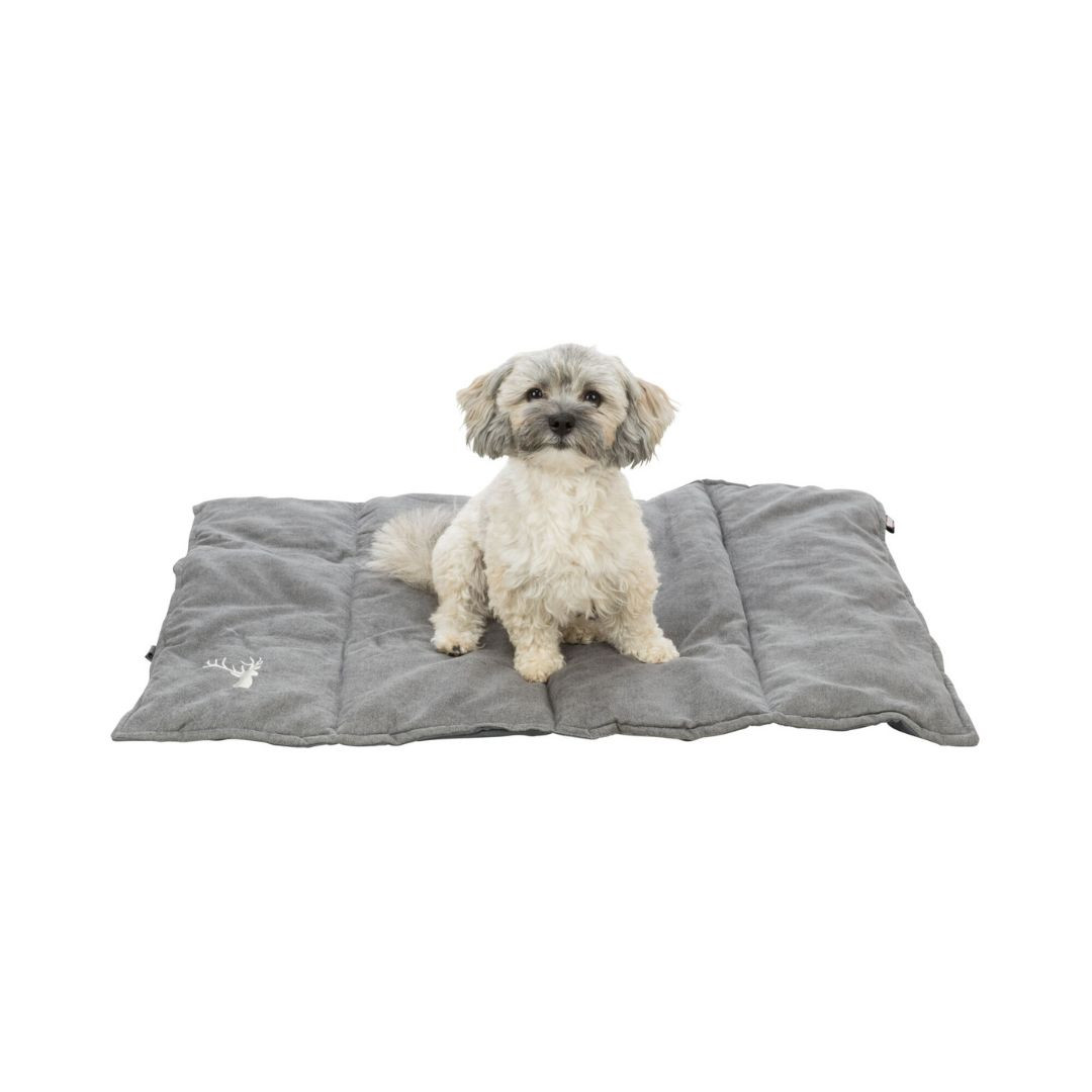 Trixie Couverture de voyage Leni