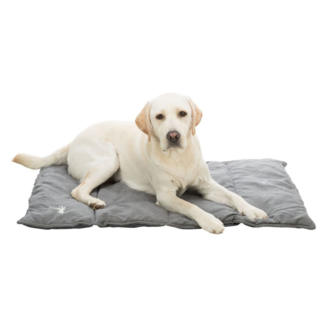 Trixie Couverture de voyage Leni