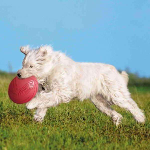 Trixie dog disc hotsell