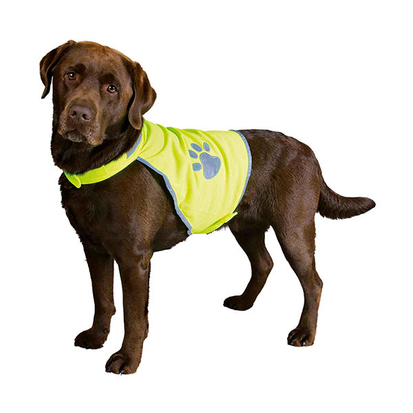 Gilet de Sécurité - Taille S