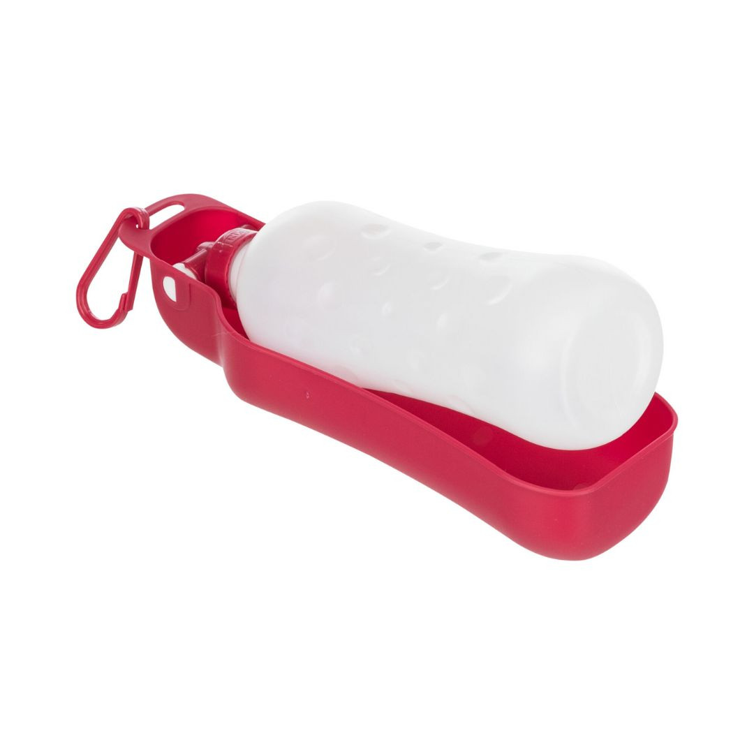 détail companibox été pour chien