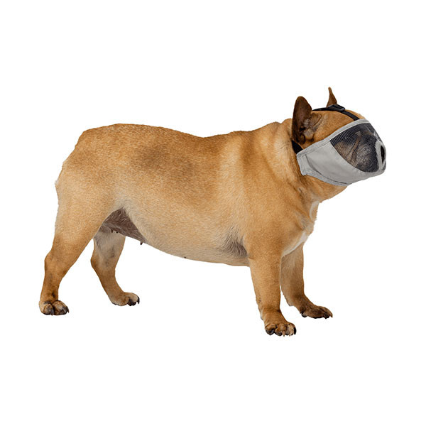 Trixie Muselière pour Races à Museau Court - S/M