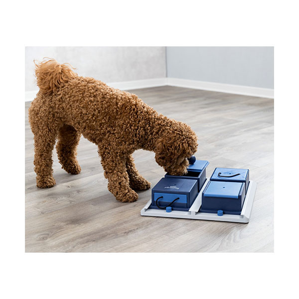 Trixie Jeu de Stratégie Poker Box 1 - Niveau 2