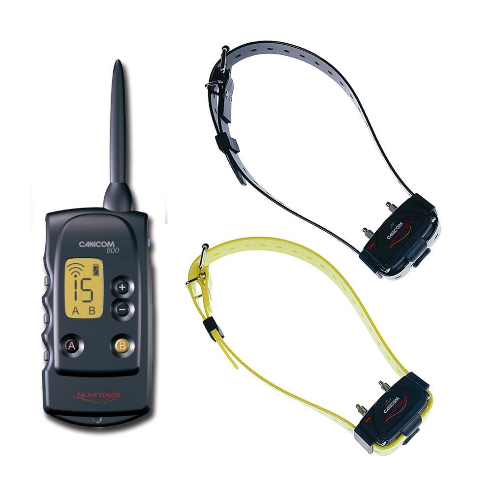 Numaxes CANICOM 800 - Colliers Dressage 2 Chiens (800m)