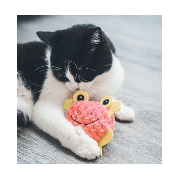 Grenouille Rose pour Chat