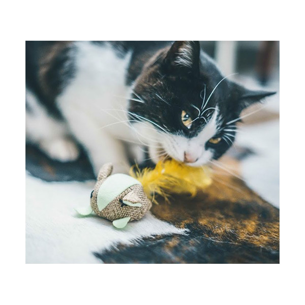 Souris Phosphorescente pour Chat