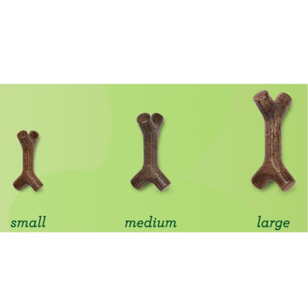 Benebone Stick au Bois d'Erable