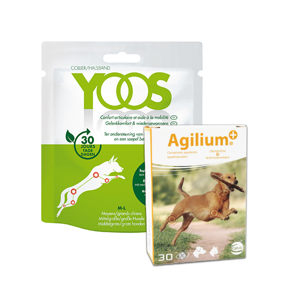 Pack Confort Articulaire Chien (M/L) - Agilium Plus 30 cps + 1 Collier Yoos