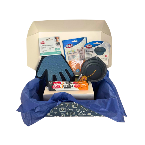 companibox chiot version été