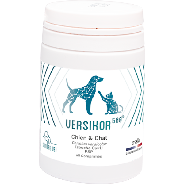 Versikor 500 - 60 cps