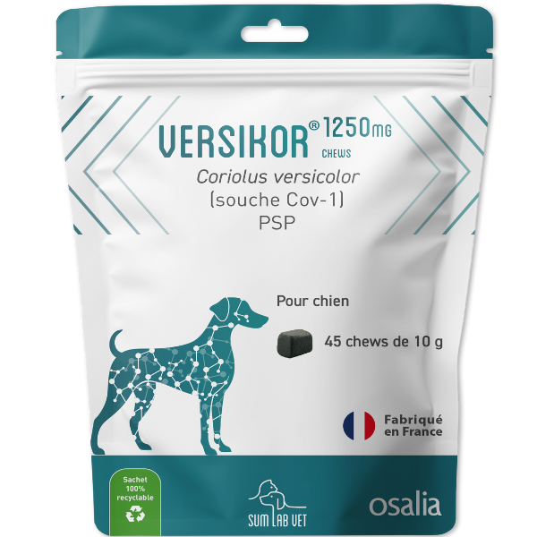 Versikor 500 Chews pour Chien