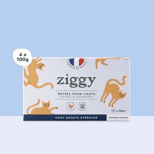 Ziggy Pâtée Chat Stérilisé Poisson - 4 x 100 g