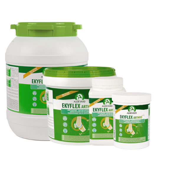 Audevard Ekyflex Arthro Granulés