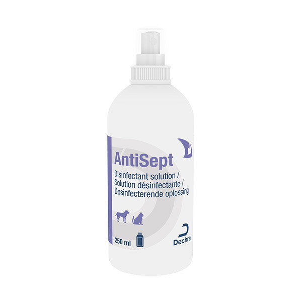AntiSept Spray Désinfectant - 250 ml