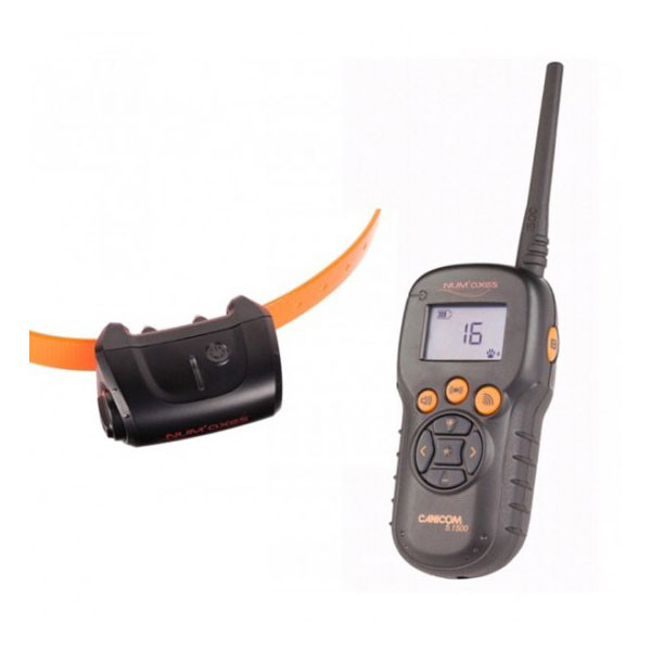 Numaxes CANICOM 5.1500 - Collier Dressage (1500m)