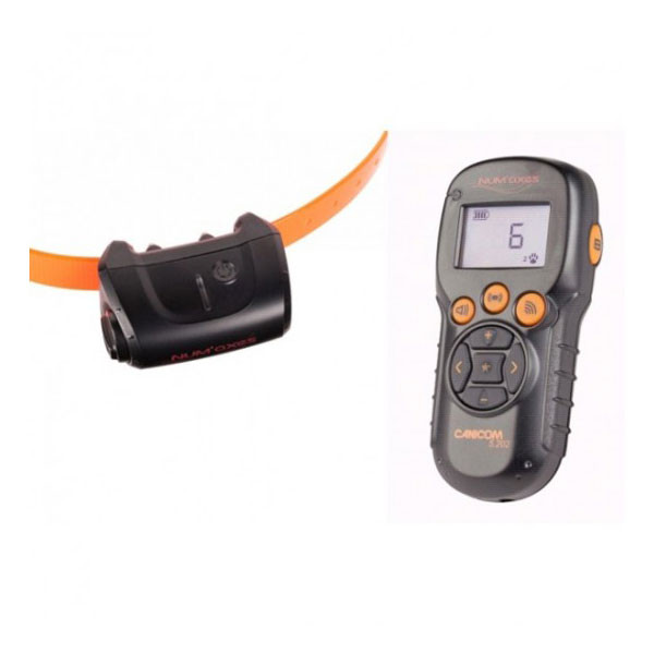 Numaxes CANICOM 5.202 - Collier Dressage (200m)