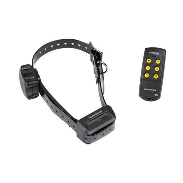 Num'axes Canicom Voice - Collier d'Education par la Voix