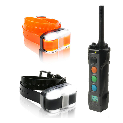 Dogtra 4502 EDGE - Collier Dressage 1600 mètres - 2 Chiens