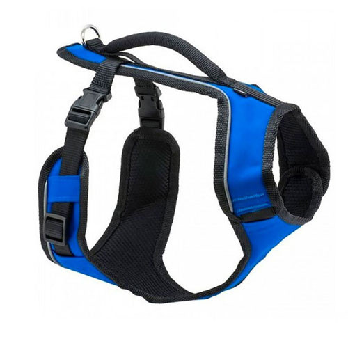 Harnais Easy Sport Bleu pour Chien