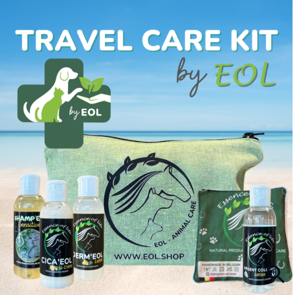 Travel Care Kit 