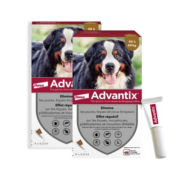 Advantix Très Grand Chien (40-60 kg)