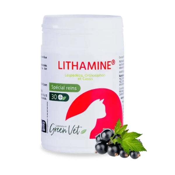 Greenvet Lithamine Spécial Reins pour Chat - 30 Cps