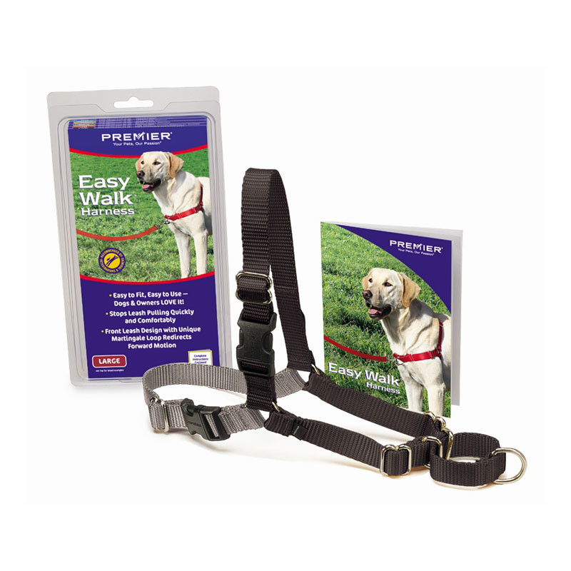 Laisse + Harnais Easy Walk Rouge pour Chien - M