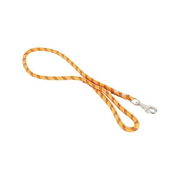Laisse Nylon Corde Orange pour Chien