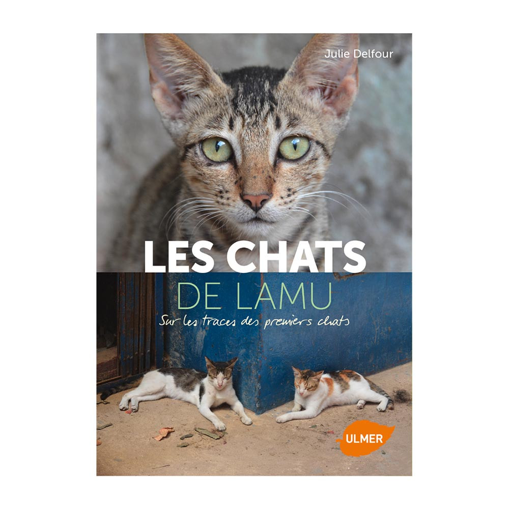 Les Chats de Lamu